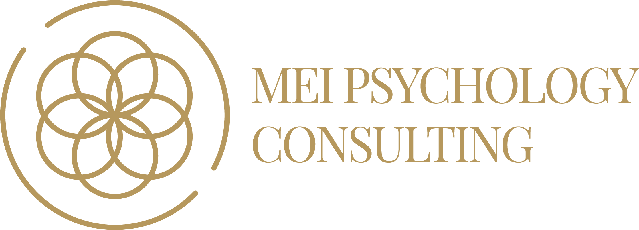 MEI Psychology Consulting